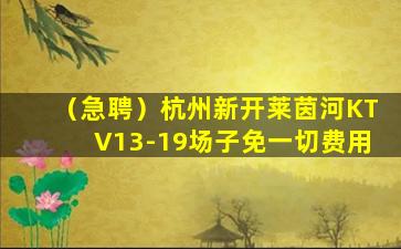 景德镇夜场招聘